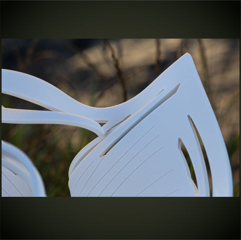 Grande coupe CESTINO