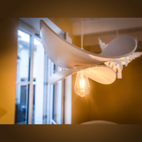 Luminaire SORA double